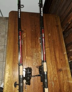 Fishing rod with reel