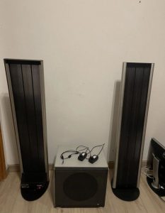 Final Sound F400i high end electrostatic loudspeaker + Braun SW2