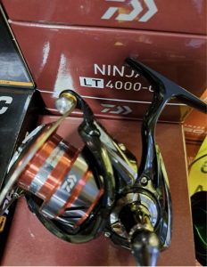 Daiwa Ninja új